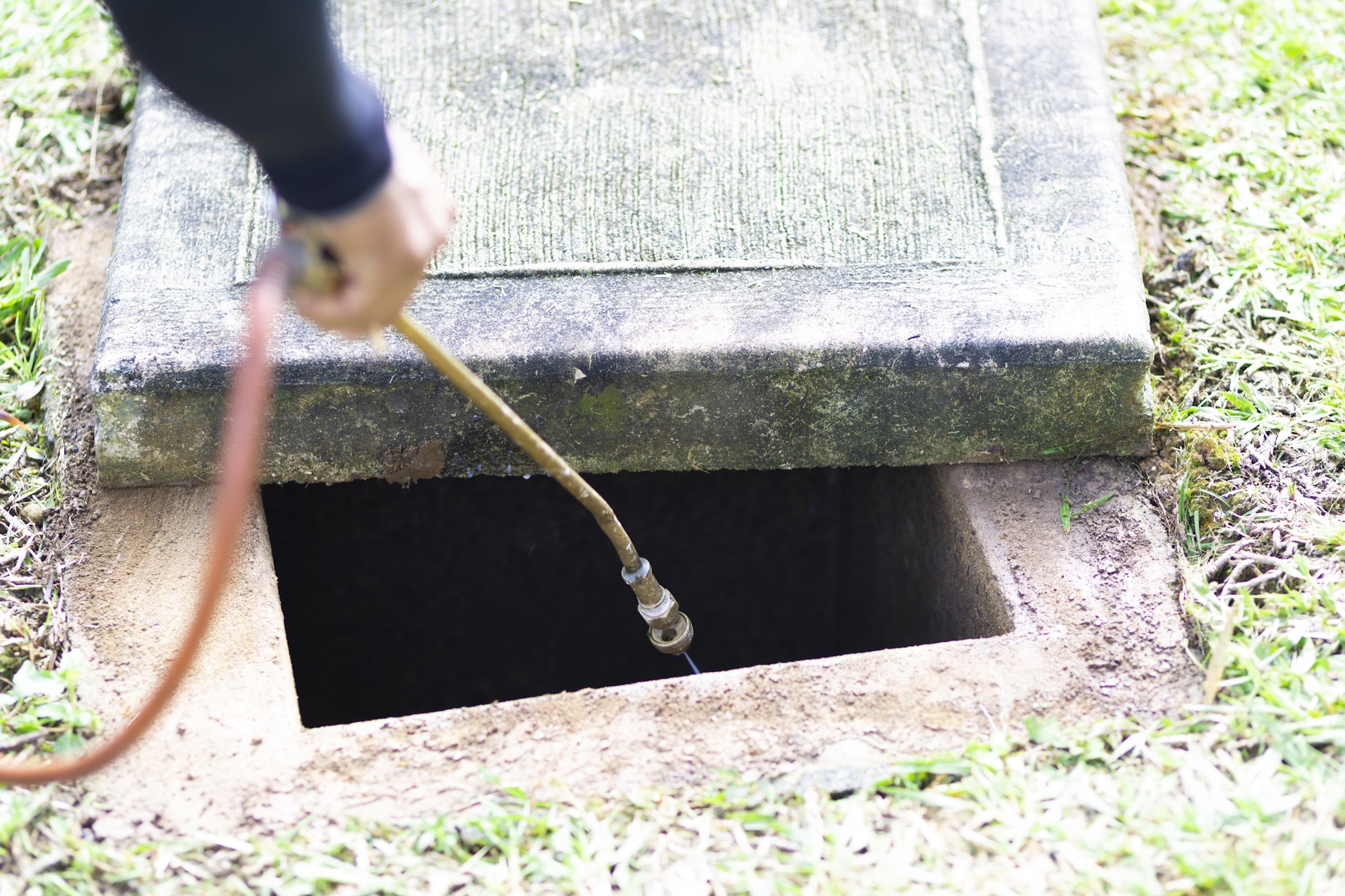 Treatment, Pest Control, Fumigation
