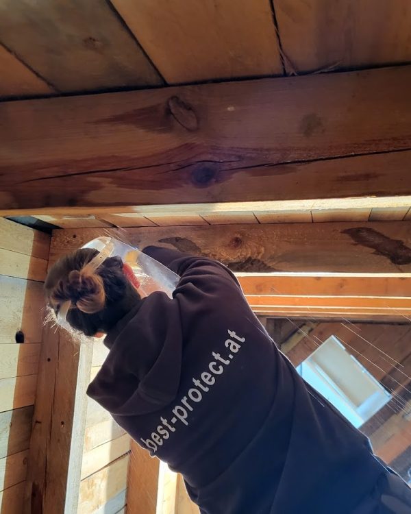 Holzschutz Niederösterreich Best Protect